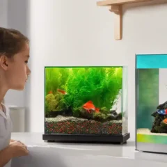 Girl-at small-fish-tank