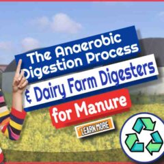 Image with the text: "The Anaerobic Digestion Process and Dairy Farm Digesters."
